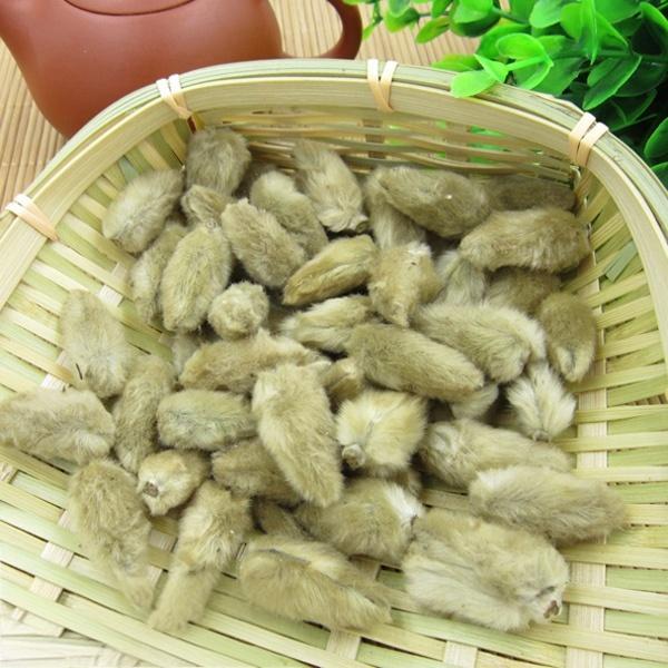 Dried Magnolia Flower Buds for Tea