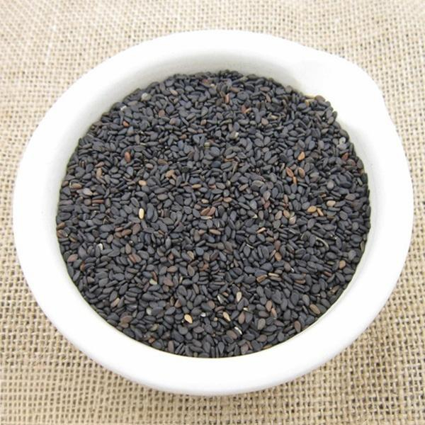 Sesamum indicum seed