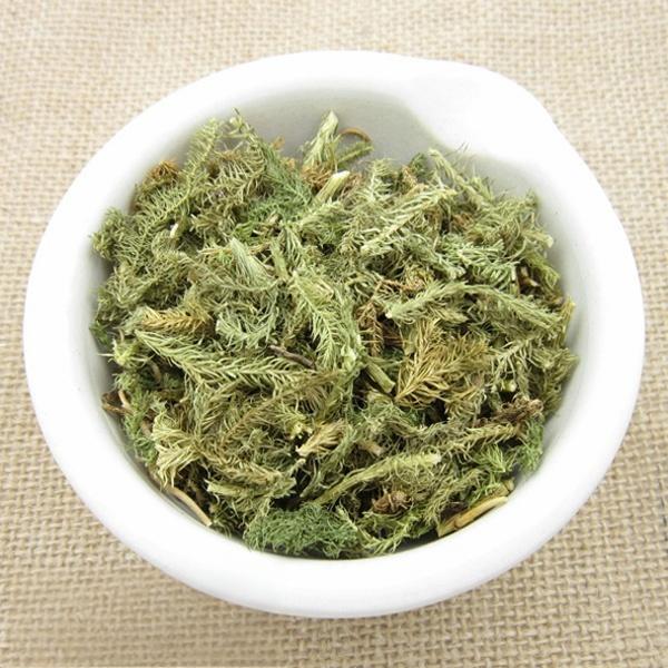 Herba Lycopodii Japonici