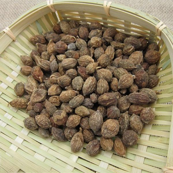 Fructus Alpiniae Oxyphyllae