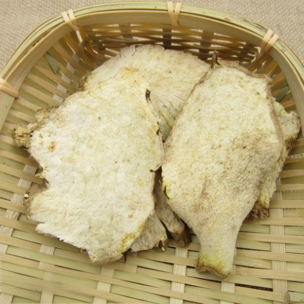 Rhizoma Dioscoreae Hypoglaucae