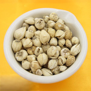 Fritillaria Cirrhosa