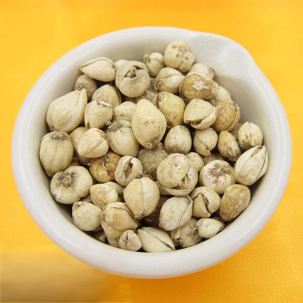 Fritillaria Cirrhosa