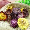 Seven-Color Chrysanthemum for Tea