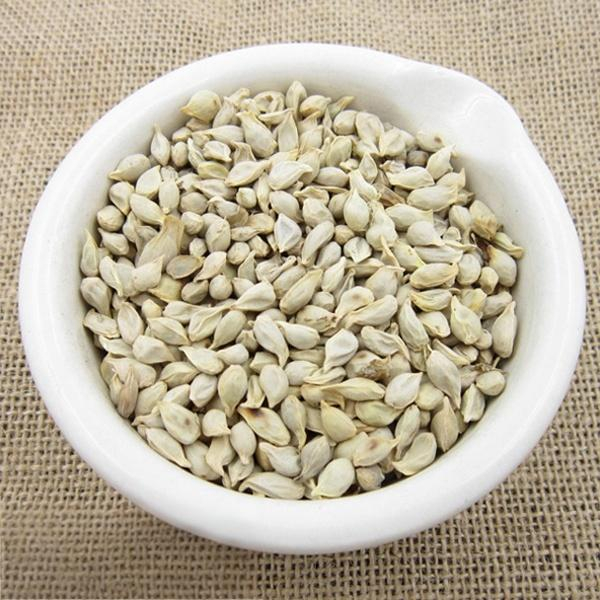 Citrus reticulata Seed