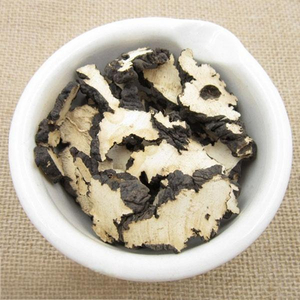 Polyporus umbellatus