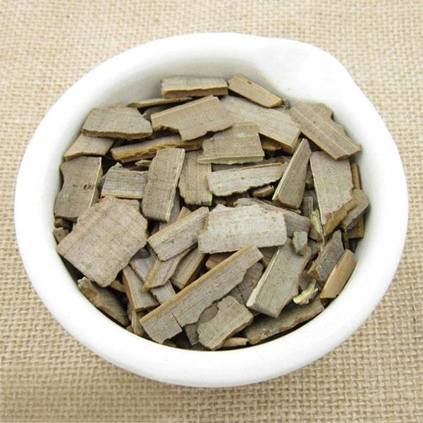 Euonymus alatus Twig。