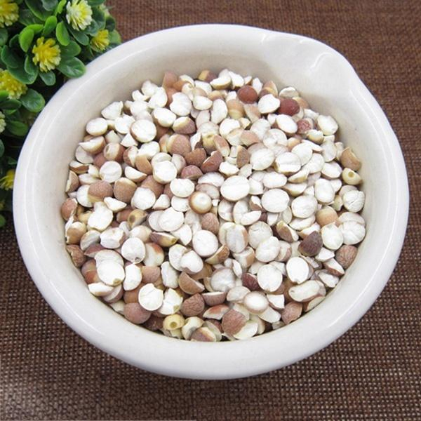 Semen Euryalis (Split, Medium)