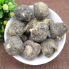 Radix Lepidii Meyenii