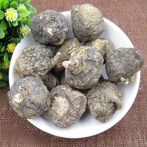 Radix Lepidii Meyenii