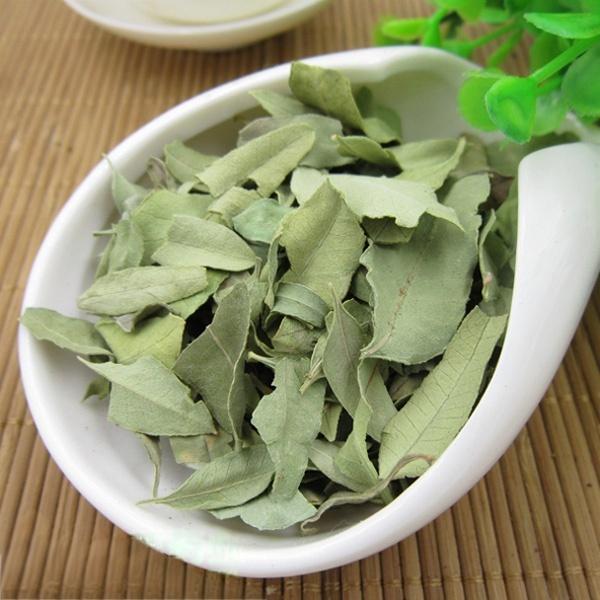 Apocynum Tea