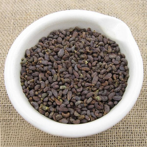 Fructus Ligustri Lucidi