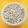 Concha Margaritifera