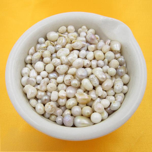 Concha Margaritifera