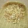 Benincasa hispida seed