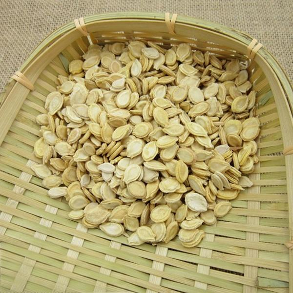 Benincasa hispida seed