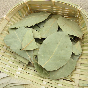 Bay leaf