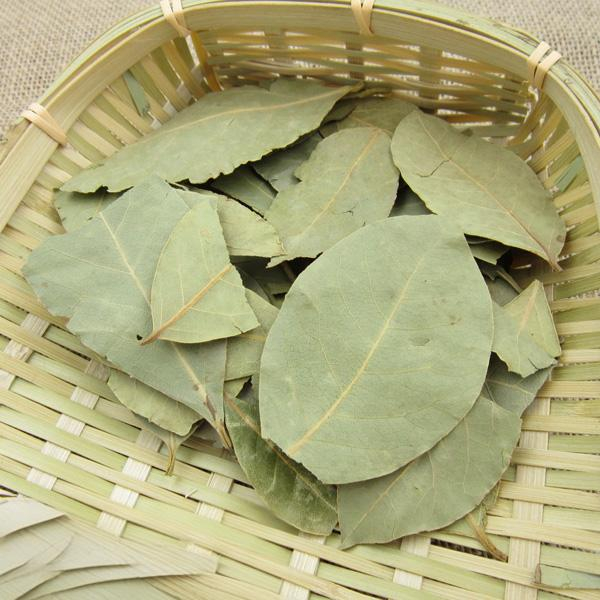 Bay leaf