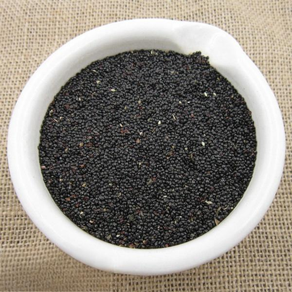 Feather Cockscomb Seed