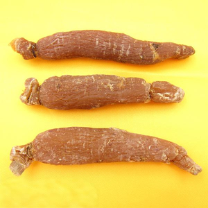 Radix Ginseng Rubra