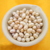 Concha Margaritifera