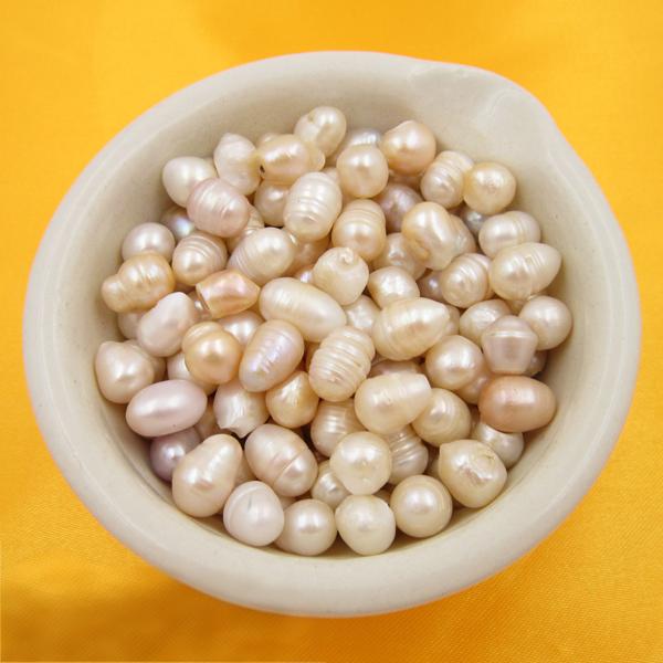 Concha Margaritifera