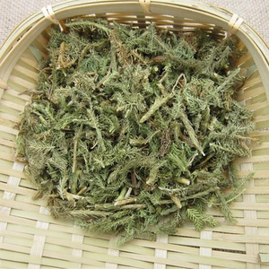 Herba Lycopodii Japonici