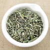 Herba Andrographitis
