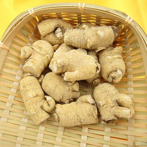 Radix Panacis Quinquefolii