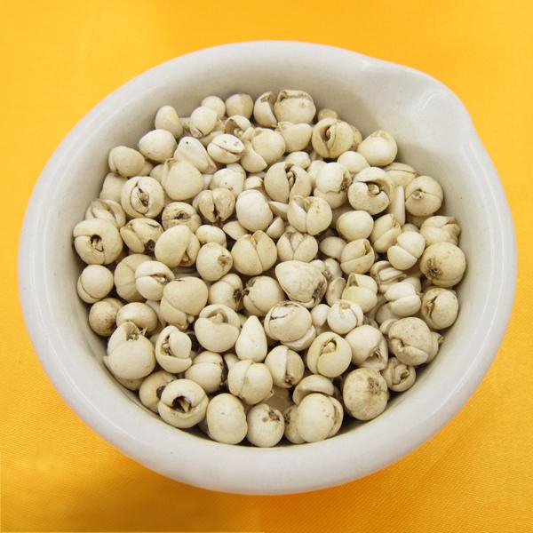 Fritillaria Unibracteata