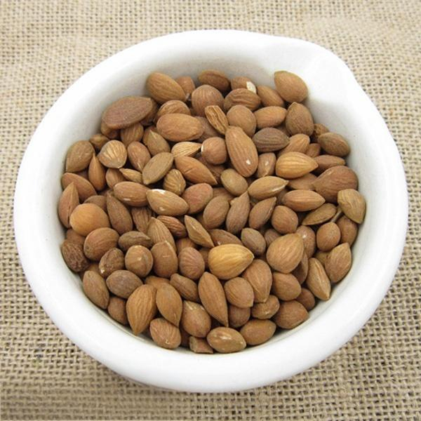 Bitter Apricot Kernel (Ku Xing Ren)
