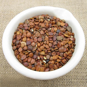 Fructus Ziziphi Spinosae