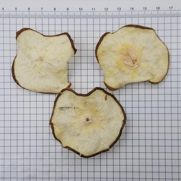 Fructus Ananasis Sliced