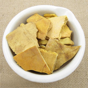 Plastrum Testudinis Praeparatum