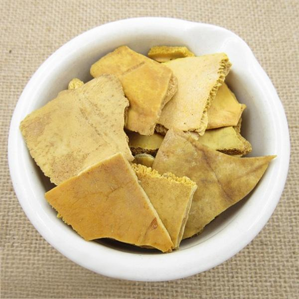 Plastrum Testudinis Praeparatum