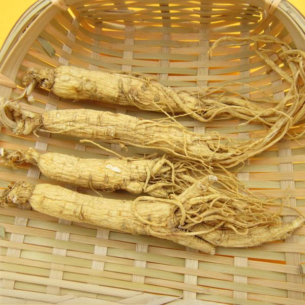 Radix Ginseng Alba
