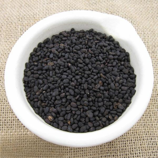 Psoralea corylifolia