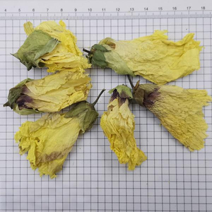 Flos Hibisci Manihot