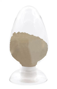 Ginkgo biloba extract