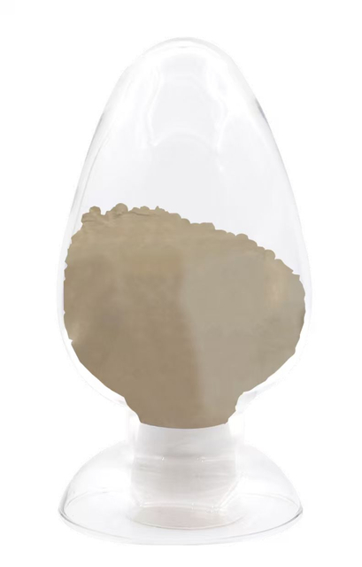 Ginkgo biloba extract