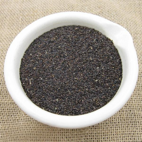 Plantago asiatica seed