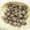 Ootheca Mantidis