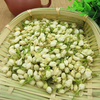 Jasmine Flower Tea