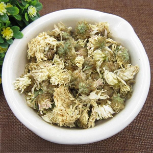 Chrysanthemum morifolium Flower