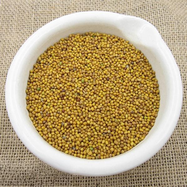 Mustard Seed