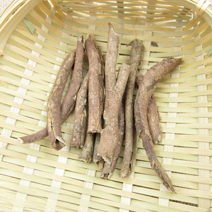 Cortex Acanthopanacis