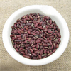 Vigna angularis