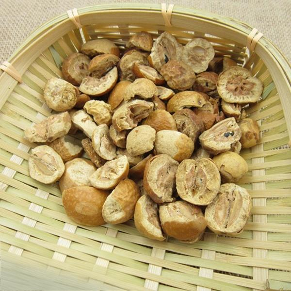 Melia toosendan fruit