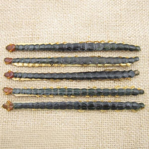 Scolopendra subspinipes mutilans