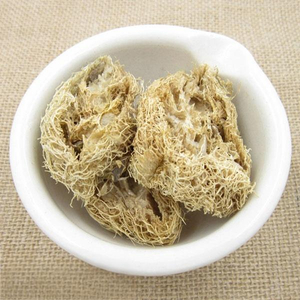 Luffa cylindrica Fibers